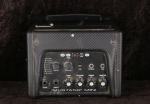Fender Mustang Mini